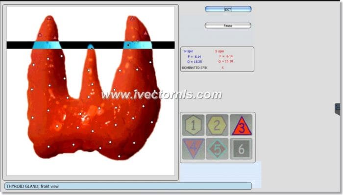9D NLS Health Analyzer