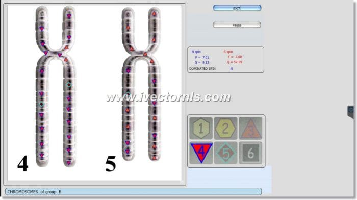 sing bioplasm-8d nls