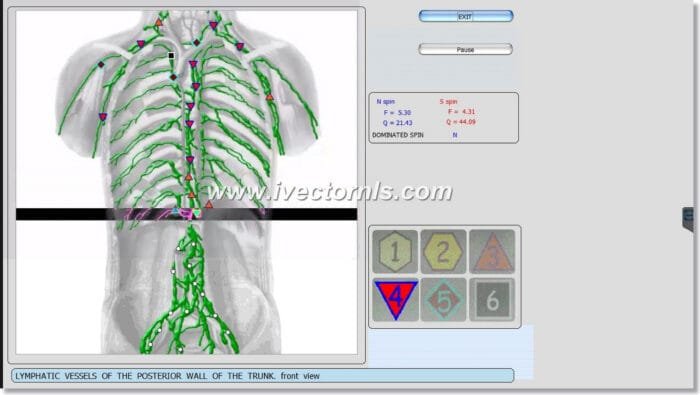 sing bioplasm-8d nls