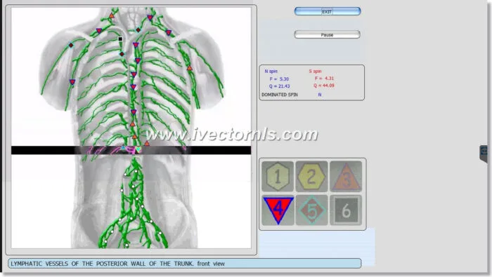sing bioplasm-8d nls