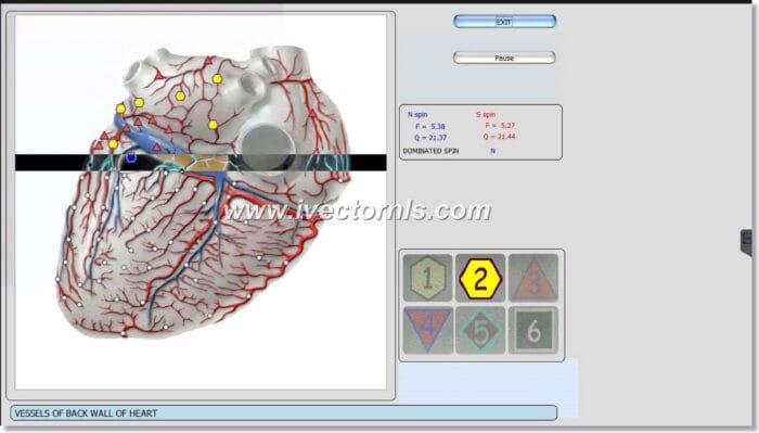 sing bioplasm-8d nls
