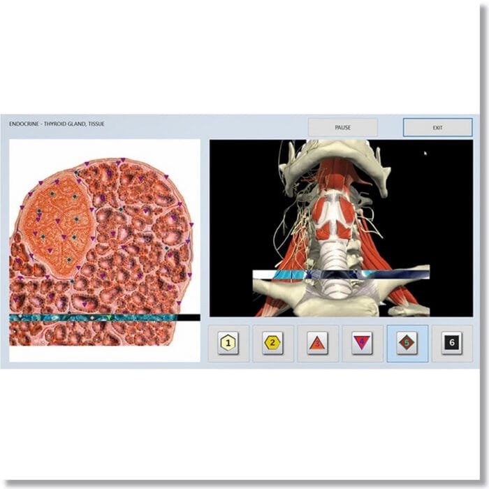 Bioplasm NLS Training