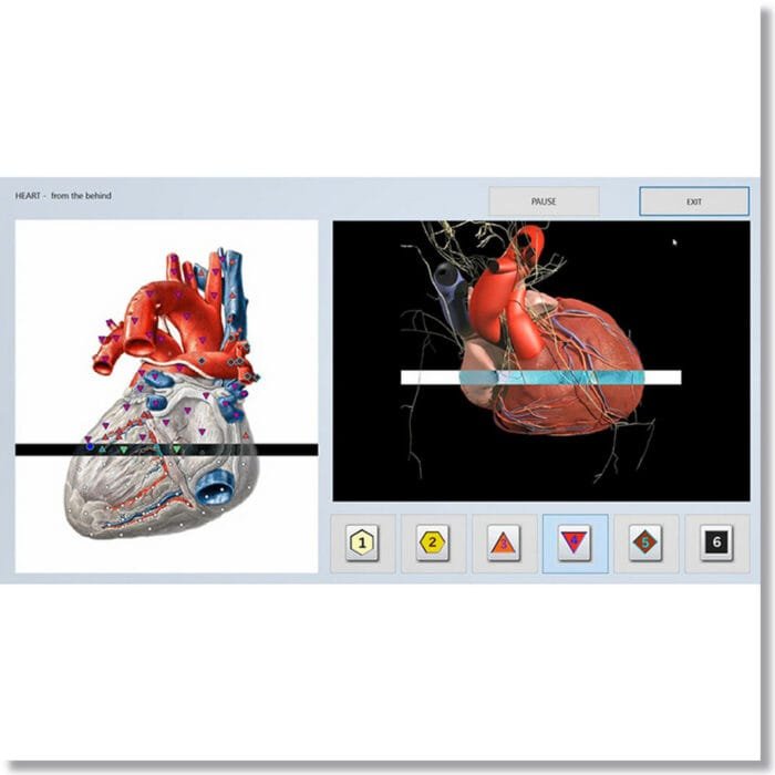 Bioplasm NLS Training