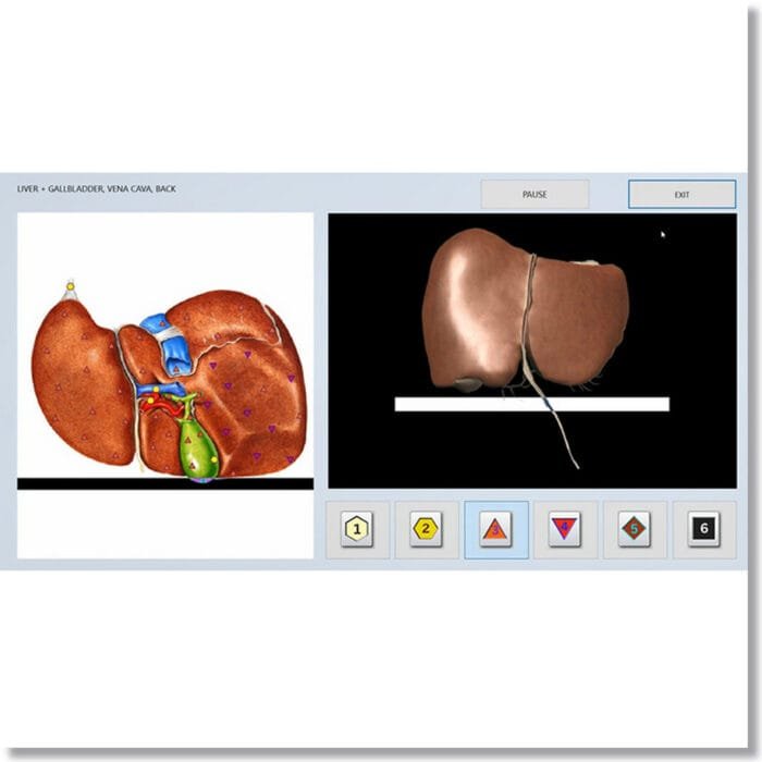 Bioplasm NLS Training