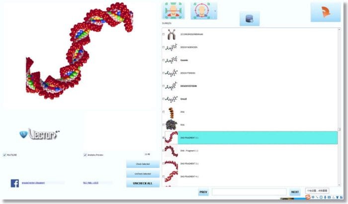 Bioplasm NLS Training